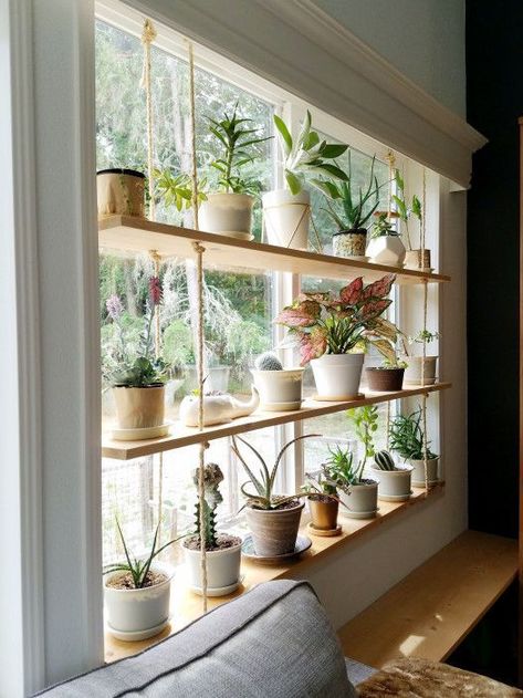 If you're looking for plant room ideas to liven up your living space, look no further - you've come to the right place. Plants Shelf, Dekorasi Bohemia, Koti Diy, Tanaman Indoor, Plants Diy, Shelf Diy, Window Plants, نباتات منزلية, Window Shelves