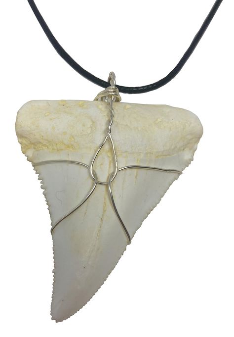 Wire Wrapped Shark Tooth, Largest Great White Shark, Great White Shark Tooth, Handcraft Jewelry, Great White Shark Teeth, Shark Teeth Jewelry, Sharks Tooth, Shark Pendant, Shark Tooth Pendant