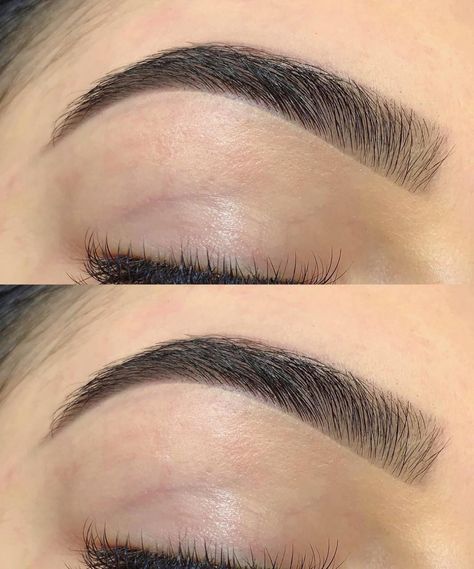 Soft Arch Eyebrows, Simple Eyebrows, Arch Eyebrows, Round Eyebrows, Perfect Eyebrow Shape, Eyebrow Styles, Arch Brows, Arched Eyebrows, Perfect Eyelashes