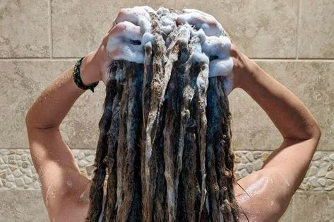 How To Clean Dreadlocks, How To Wash Synthetic Dreads, How To Wash Dreadlocks, Washing Dreadlocks, Natural Locks Dreadlocks, Loc Shampoo, Dreads With Undercut, Dread Care, Hairstyles Dreadlocks