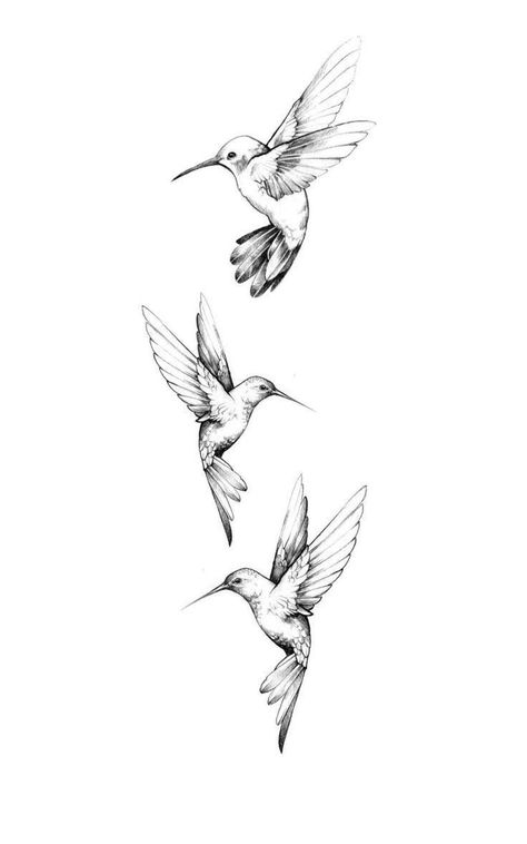 humming bird tattoo - The House of Beauty 4 Hummingbird Tattoo, Back Tattoo Birds Women, Shape Tattoos For Men, Tattoo Going Around Arm, Butterfly Turned To Dust Tattoo, 3 Hummingbird Tattoo Small, Humming Bird Shoulder Tattoos For Women, Hummingbird Mother Daughter Tattoos, Tree Arm Tattoo Woman