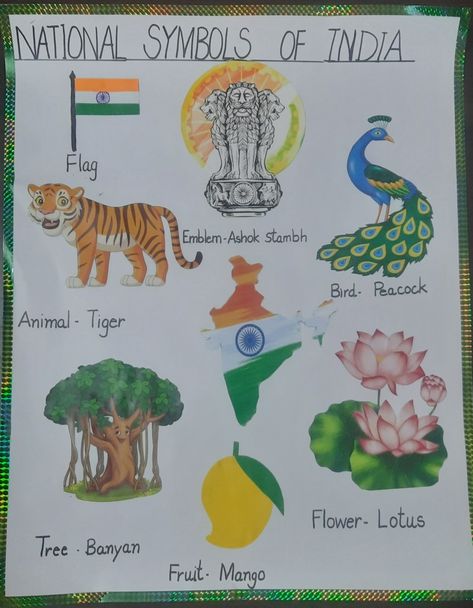 National symbols of India National Flower Of India Drawing, India Symbols Art, Indian National Symbols Drawing, India National Symbol, National Symbols Of India For Kids Craft, National Things Of India, Our National Symbols India, National Symbols Of India Drawing, National Symbols Of India Chart