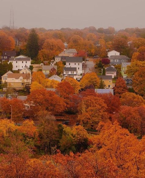 Autumn Village, Foto Muro Collage, Herbst Bucket List, Fall Boards, Fotografi Alam Semula Jadi, Autumn Scenery, Season Of The Witch, Fall Feels, Fall Is Here