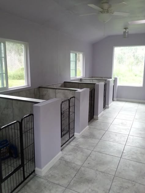 Indoor Dog Rooms, Dog Kennel Designs Indoor, Indoor Dog Room Ideas, Inside Dog Kennel Ideas, Indoor Kennels For Dogs, Dog Kennel Room, Kennel Ideas Indoor, Dog Kennel Ideas Indoor, Dog Room In Garage