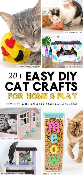 Diy Cat Crafts, Diy Jouet Pour Chat, Pet Diy Projects, Cats Crafts, Cat Diy Crafts, Kat Diy, Chat Diy, Homemade Cat Toys, Diy Cat Toys