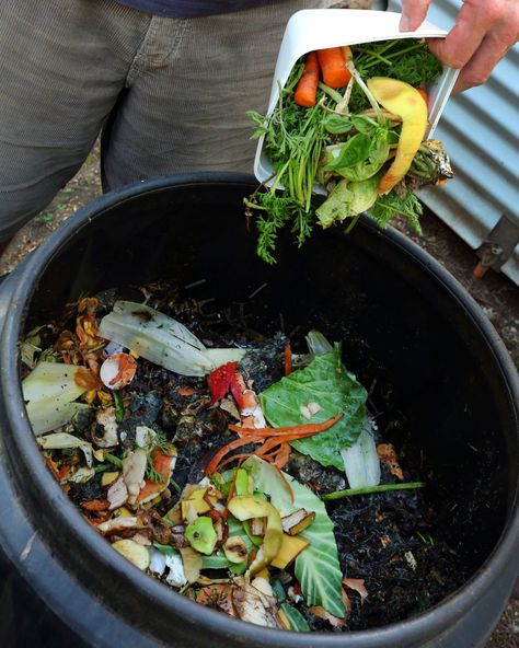 compost-getty-0320 Best Compost Bin, Compost Bin Diy, Growing Organic Vegetables, Diy Compost, Luxury Garden Furniture, How To Make Compost, Composting At Home, Compost Tea, Easy Build