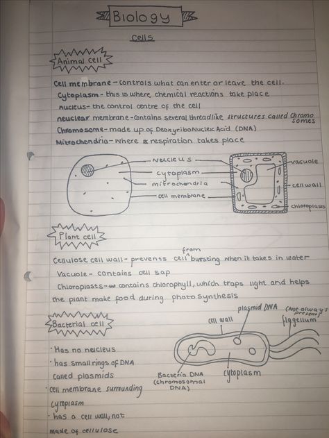 Organisation, Biology Revision Gcse Cells, Biology Notes Animal And Plant Cells, Science Cells Notes, Cells Revision Notes, Plant And Animal Cells Notes, Plant Biology Notes, Cells Notes Biology, Biology Organization