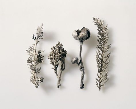 Jewelry Made From Nature, Anthemis Tinctoria, Cast Jewelry, Lost Wax Jewelry, Casting Metal, Twig Jewelry, Real Animals, Silver Casting, Jewelry Wax