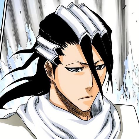 Byakuya Bleach, Byakuya Kuchiki, Anime Character, Black Hair, Bleach, Hair, Anime, White, Black