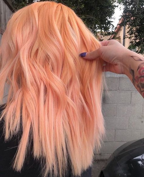 Peach Hair Pastel, Pastel Orange Hair Color, Pink Peachy Hair, Peach Orange Hair Color, Pastel Peach Hair Color, Crazy Hair Colour Ideas, Fun Work Appropriate Hair Color, Pastel Orange Hair Peach, Peach Coloured Hair