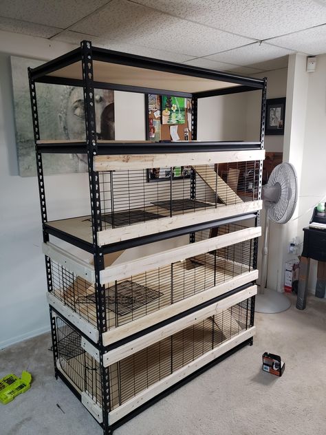 Bunny Diy Cage, Diy Indoor Rabbit House, Walk In Rabbit Enclosure, Dog Area In Office, House For Rabbit, Rabbit Condo Indoor, Bunny Cage Diy, Rabbit Breeder Setup, Pet Squirrel Cage Ideas