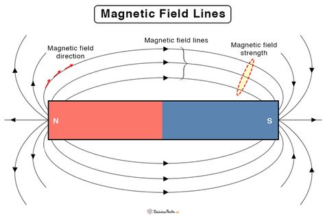 Magnetic Field Lines: Definition, Direction, & Properties Magnetic Compass, Science Classroom Decorations, Primary Science, Interactive Science Notebook, Electric Field, Math Formulas, Interactive Notebook, Magnetic Field, Physical Science