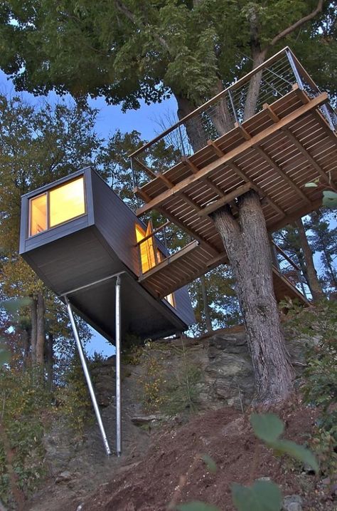 Image 6 of 14 from gallery of Cliff Treehouse / Baumraum. © Baumraum Modern Tree House, Treehouse Masters, Cool Tree Houses, Cliff House, Tree House Designs, Container Architecture, Shipping Container Homes, A Hill, House Built