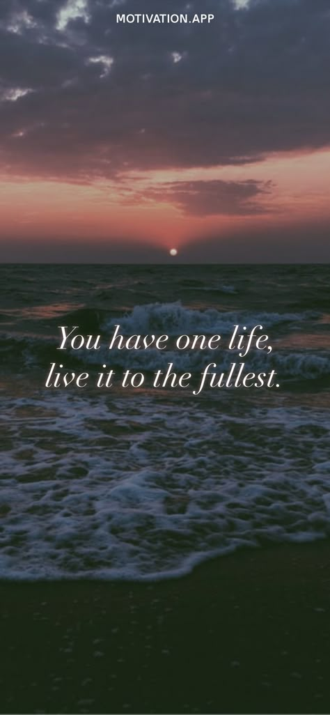 You have one life, live it to the fullest. From the Motivation app: https://motivation.app/download Gratitude Poems, One Life Quotes, Negativity Quotes, Short Positive Quotes, Need Quotes, Full Quote, Healing Heart Quotes, Motivation App, Fitness Motivation Quotes Inspiration