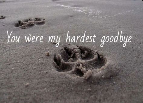 You Were My Hardest Goodbye, Quotes About Loosing Your Dog, Losing A Pet Quotes, Dog Heaven Quotes, Tatoo Dog, Rip Dog, Hardest Goodbye, Miss My Dog, Dog Poems