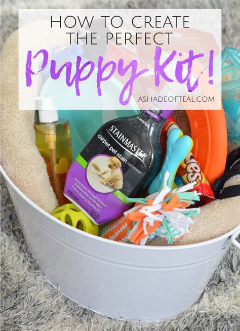 Create the Perfect Puppy Kit! Everything a new dog owner will love including @STAINMASTER®™ Carpet Pet Stain Remover from @Target. #ProtectFromPetMess #SeasonalSolutions #ad Puppy Pack Ideas, Puppy Kit From Breeder, Breeder Puppy Packs For New Owners, New Dog Gift Basket, New Puppy Gift Baskets, New Puppy Gift Basket Ideas, Puppy Welcome Home Basket, Puppy Bags For New Owners, New Puppy Gift Ideas