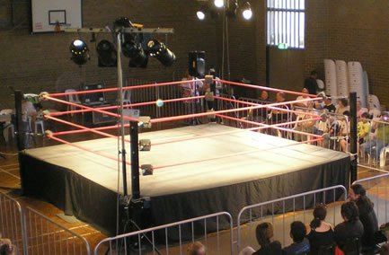 Indy style wrestling ring Typing Jobs From Home, College Usa, Amazon Work From Home, Break Ups, Game Room Basement, Cheap Ideas, Tna Impact, Break Up, Boxing Gym