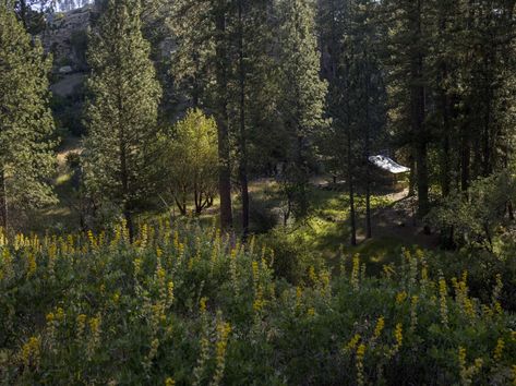 American Wilderness, Wilderness Cabins, Book Mood, Wilderness Explorer, Big Sur California, Quiet Place, The Wilderness, Good Life, Big Sur