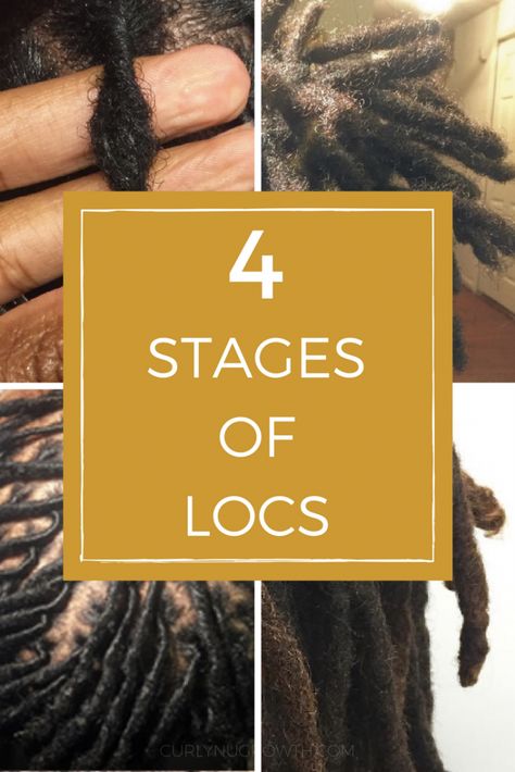 Stages of Locs: How Locs Evolve From Beginning to Maturity | The Digital Loctician Stages Of Locs, Leda Muir, Megan Good, Short Locs Hairstyles, Hair Care Regimen, Starter Locs, Lisa Bonet, Dreadlock Styles, Dreads Styles