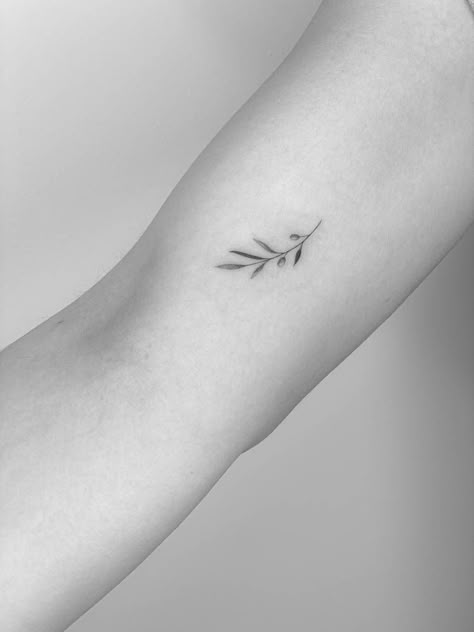 Olive Laurel Tattoo, Minimal Branch Tattoo, Small Olive Tree Tattoo, Olive Name Tattoo, Mini Olive Branch Tattoo, One Line Olive Branch Tattoo, Black And White Olive Branch Tattoo, Abide Olive Branch Tattoo, Delicate Olive Branch Tattoo