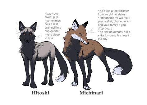 Fox Oc, Cat Races, Dog Design Art, Fox Character, Canine Drawing, Hybrid Art, Canine Art, Pretty Animals, Fox Art