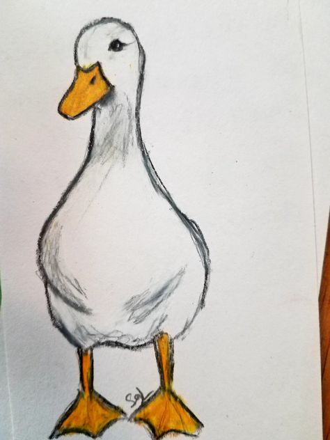 Fantasy Animals Drawing Easy, Desene Simple Cute, Duck Drawing Sketches, Goofy Drawing Easy, Duck Drawing Easy, Winter Drawings, Animal Sketch, Easy Animal Drawings, Goofy Drawing