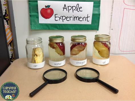 I'm trying to incorporate more science experiments in my classroom this year. My 1st and 2nd graders had such a wonderful time with our A... Apples Experiment, Apple Experiment, Vetenskapliga Experiment, Preschool Apple Theme, Apple Kindergarten, Science Experience, Apple Lessons, Apple Preschool, Apple Unit