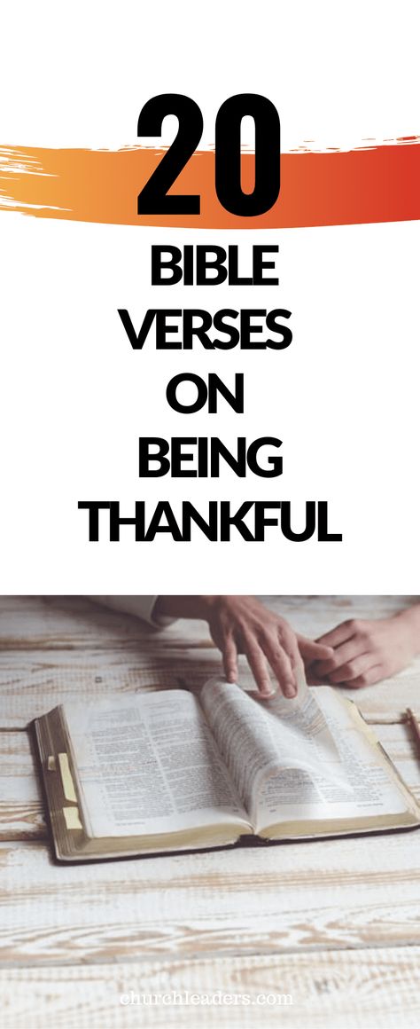 Thanks Giving To God, Bible Verses For Thankfulness, Bible Verses About Being Thankful, Thankful To God, Verses About Thankfulness, Bible Verse Thankful, Thankful Bible Quotes, Thankful Verses, Thankful Scripture