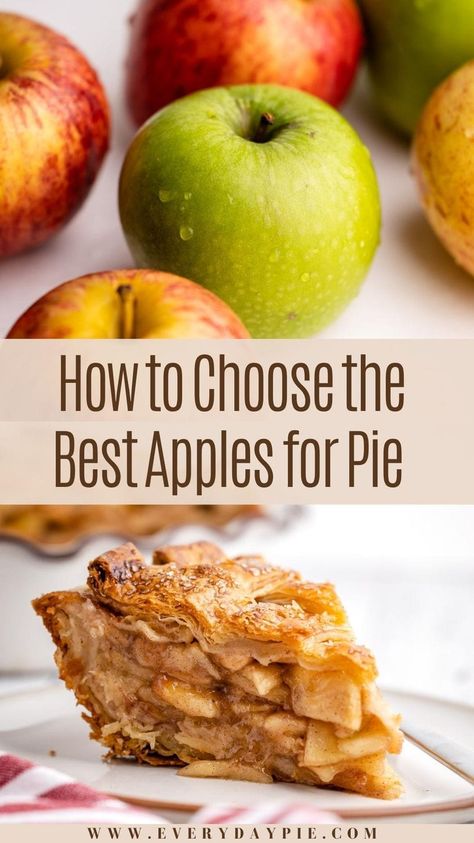 Without a doubt, the type of apples used for apple pie will directly reflect the baked result. This guide will help you choose the best apples for apple pie! Apple Pie Gala Apples, Perfect Apple Pie Recipe, Best Apples To Use For Apple Pie, Apples For Pies Best, Best Apple For Apple Pie, Red Apple Pie Recipe, What Apples To Use For Apple Pie, What Are The Best Apples For Apple Pie, Apple Pie With Precooked Apples