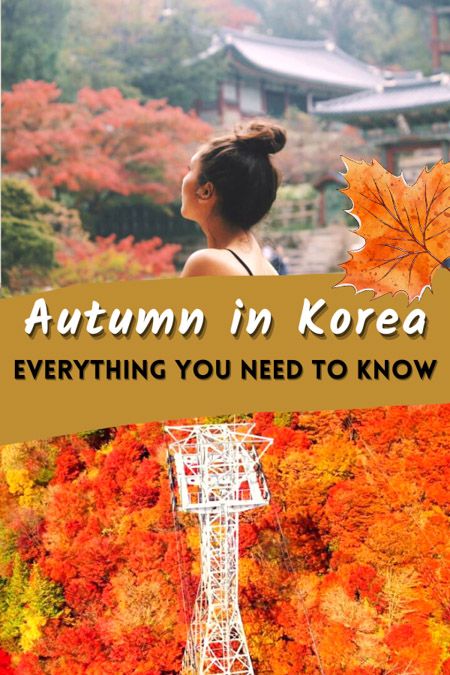 Best Time To Visit South Korea, What To Wear In Korea Autumn, Korea In October, Seoul In October, Korea Fall Fashion, Korea Autumn Fashion, South Korea Fall, Nami Island Autumn, Korea Weather