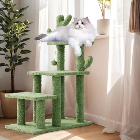 Faster shipping. Better service Bed Stairs, Desert Scenery, Cat Stairs, Cactus Cat, Pet Stairs, High Beds, Pet Steps, Cat Playground, Green Cat