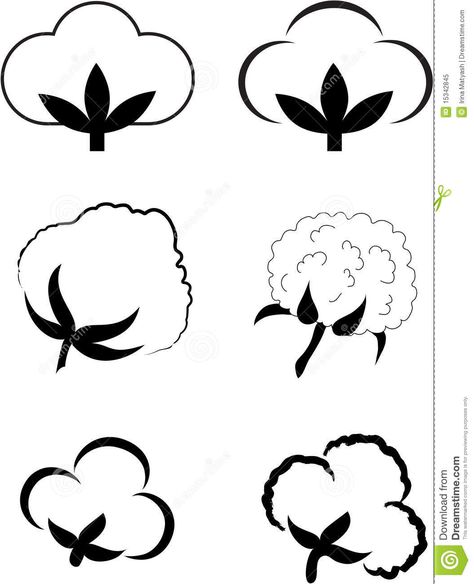 cotton plant images | Cotton (Gossypium). Royalty Free Stock Photo - Image: 15342845 Cotton Picking, Cotton Illustration, Cotton Painting, Cotton Art, Cotton Decor, Cotton Boll, Cotton Decorations, Cotton Plant, Plant Images