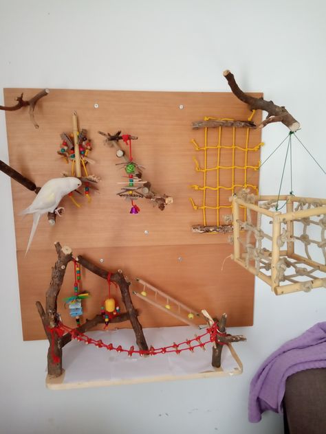 Parrot playground Bird Wall Playground, Bird Play Area, Conure Playground Diy, Diy Budgie Playground, Parakeet Playground Diy, Parrot Room Ideas Pet Birds, Cockatiel Playground Diy, Parrot Room Ideas, Budgie Playground