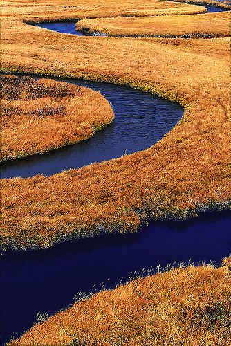 Trout Creek, Yellow Stone National Park Yellow River, Yellowstone Park, Green River, Yellow Stone, Yellowstone National, Yellowstone National Park, Pics Art, South Dakota, Amazing Nature