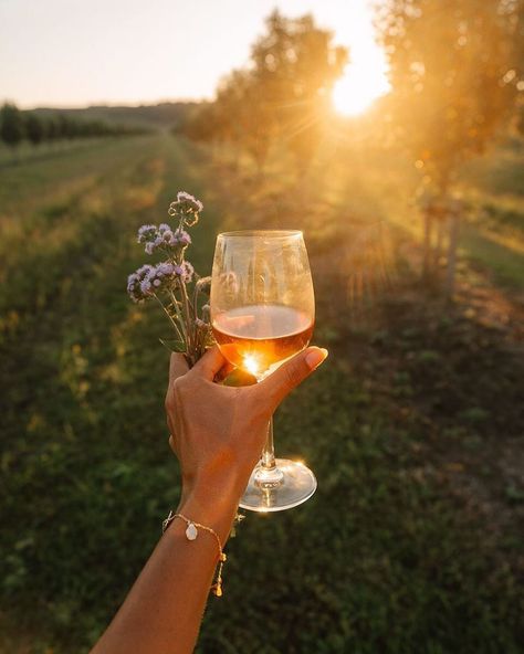 Ice Was Online on Instagram: ““To shine your brightest light is to be who you truly are.” - Roy T. Bennett  #icewasonline” Wine Advertising, H Photo, Wine Vineyards, Wine Photography, Natural Wine, Wine O Clock, Wine And Dine, Wine Tour, Camping And Hiking