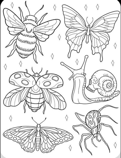 Cute Quirky Tattoos, Snail Line Art, Whimsical Tattoo Designs, American Traditional Beetle, Bug Tattoo Flash, Trendy Coloring Pages, Plant Drawings, Tattoo Stencil Outline, Desenho Tattoo