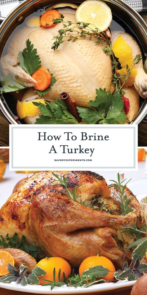 Brining Turkey, Turkey Brining, Easy Turkey Brine, Best Turkey Brine, Best Thanksgiving Turkey Recipe, Turkey Tips, Perfect Roast Turkey, Brine Recipes, Thanksgiving Turkey Recipes