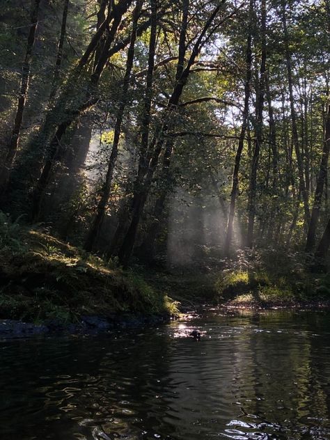 Croquis, Forest Stream Aesthetic, Dark Oregon Aesthetic, Corvallis Oregon Aesthetic, Bridget Core, Janecore Aesthetic, Danielle Core, Forest With River, River In The Forest