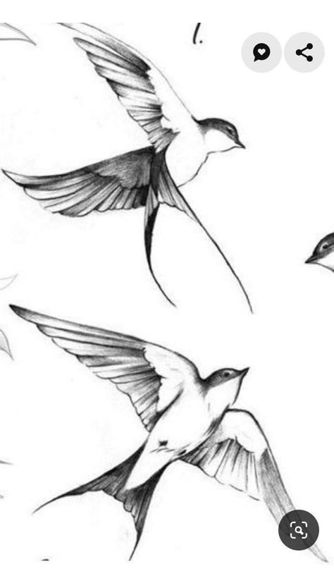 Fine Line Swallow Tattoo, Swallow Tattoo, Fine Line Tattoo, Line Tattoo, Fine Line, Reference Photos, Art Reference Photos, Line Art, Art Reference