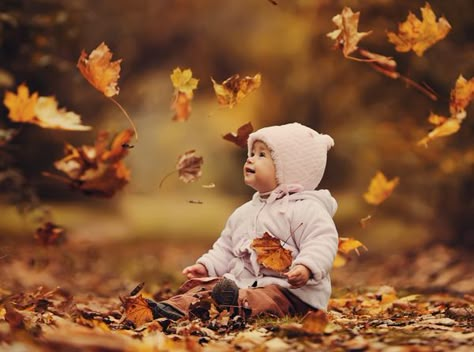 Fall Baby Pictures, Photo Bb, Foto Newborn, Baby Fotografie, Cute Babies Photography, Fall Family Pictures, Toddler Photography, Foto Baby, Foto Tips