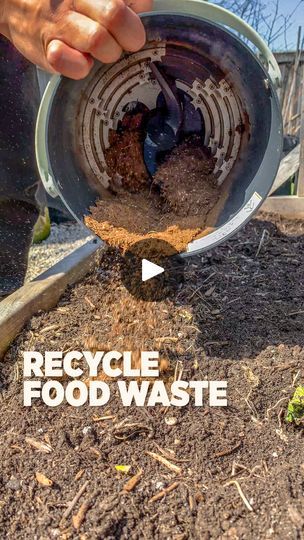 Organic Waste, Organic Soil, Compost Bags, Growing Fruit, Reduce Food Waste, Composting, Compost Bin, Food Waste, Outdoor Garden