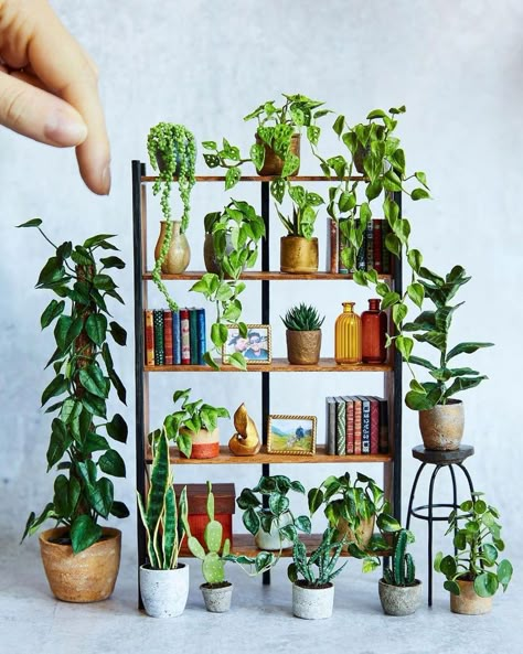 The Daily Miniature 🔍 en Instagram: “plant bookshelf by @hannahlemon_art. 🪴” Plant Bookshelf, Spider Habitat, Miniature Bookshelf, Mini Bookshelf, Room Box Miniatures, Bookshelf Art, Doll Furniture Diy, Garden Decor Diy, Mini Flowers