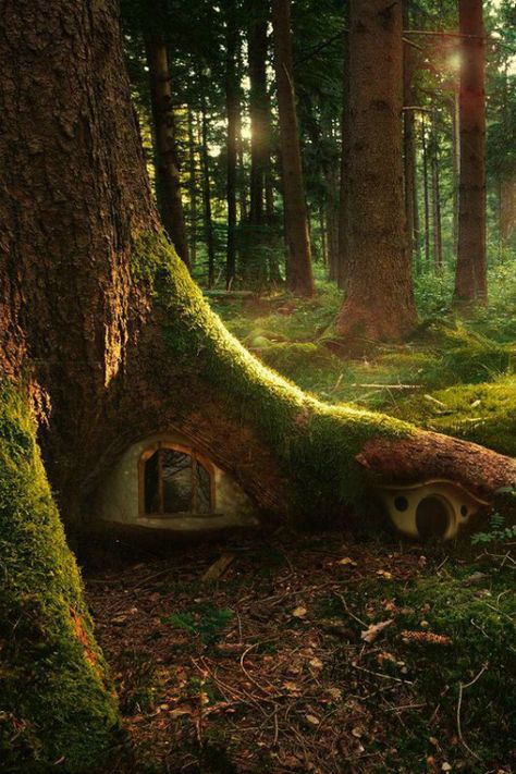 . Tre Kunst, Enchanted Wood, Faeries Gardens, Fairy Tree, Gnome House, Fairy Garden Houses, Wallpaper Laptop, Have Inspiration, The Secret Garden