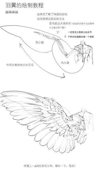 Wing Anatomy, Wings Drawing, Beauty In Art, Wings Art, Body Reference Drawing, Concept Art Drawing, Figure Drawing Reference, Anatomy Reference, Anatomy Art