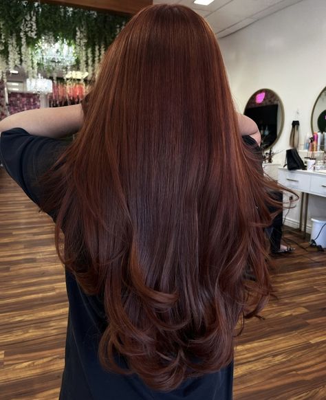 Crimson Brown Hair, Reddish Brownish Hair, Deep Cinnamon Hair Color, Auburn Hair On Olive Skin, Long Dark Auburn Hair, Auburn Hair Gloss, Coco Hair Color, Red Hot Cinnamon Hair, Brown Maroon Hair