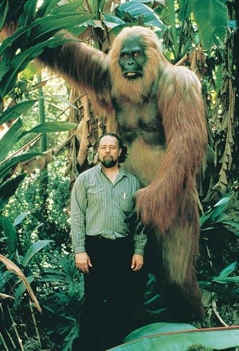 Gigantopithecus  … an extinct genus of ape that existed from roughly nine million years to as recently as one hundred thousand years ago, in what is now China, India, and Vietnam, placing Gigantopithecus in the same time frame and geographical location as several hominin species. The fossil record suggests that individuals of the species Gigantopithecus blacki were the largest apes that ever lived, standing up to 3 m (9.8 ft), and weighing up to 540 kg (1,200 lb) Ancient Monsters, Bigfoot Pictures, Unusual Hobbies, Foto Langka, Prehistoric World, Extinct Animals, Prehistoric Animals, Primates, Large Animals