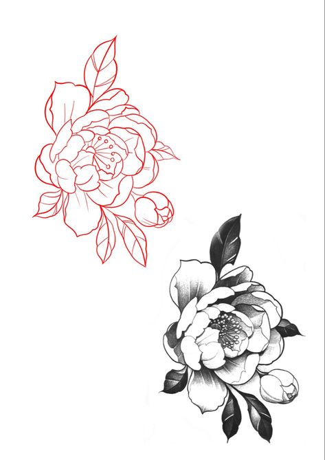 Japanese Style Peony Tattoo, Peony Flower Tattoo Stencil, Tattoo Filler Flowers, Peony Tattoo Stencil Outline, Tattoo Designs For Practice, Peony Tattoo Neck, Japanese Flower Tattoo Stencil, Tattoo Stencil And Reference, Chrysanthemum Tattoo Stencil