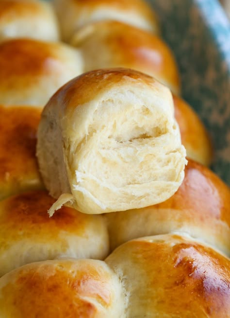 Homemade Hawaiian Rolls, Hawaiian Bread Rolls, Rolls Baking, Sweet Dinner Rolls, Sourdough Rolls, Hawaiian Roll, Fluffy Dinner Rolls, Hawaiian Sweet Rolls, Places To Travel With Friends