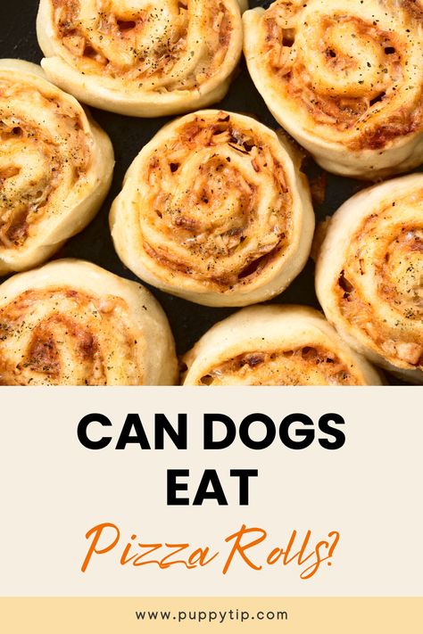 While they make a great snack for humans, can dogs eat pizza rolls, too? We've got the answer, plus some tips on how to make pizza treats for your pup. Pizza Treats, Dog Pizza, Making Homemade Pizza, Kinds Of Cheese, Pizza Rolls, How To Make Pizza, Eat Pizza, Pizza Slice, Can Dogs Eat