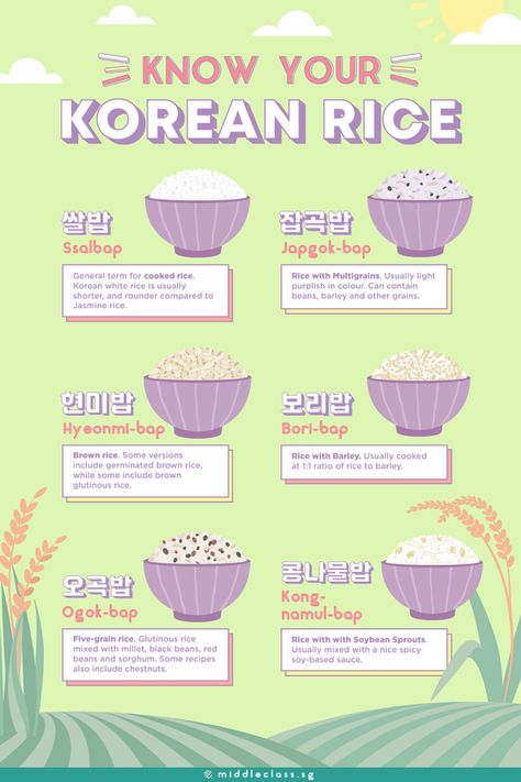 An Introduction To The Different Types Of Korean Rice – MiddleClassSG Scrapbook Recipe Book, Cooking Substitutions, Homemade Cookbook, Korean Rice, Soy Recipes, Korean Snacks, Korean Cooking, Healthy Homemade Recipes, Living Alone